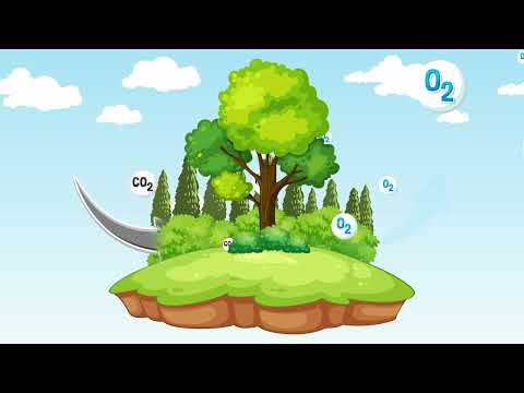 Caixa d'Água 500L em Polietileno + Green Acqualimp - Image 4