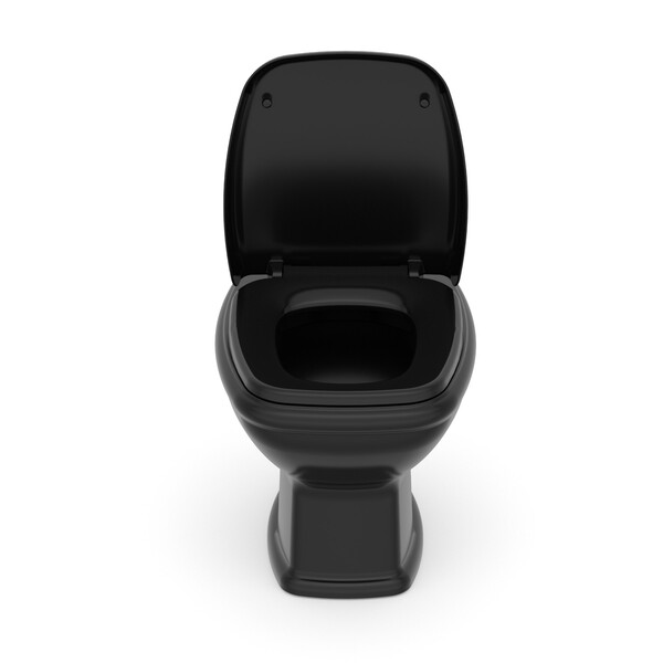 Kit Vaso Sanitário Convencional com Assento Preto Saída Vertical Fit Plus Celite - Image 2