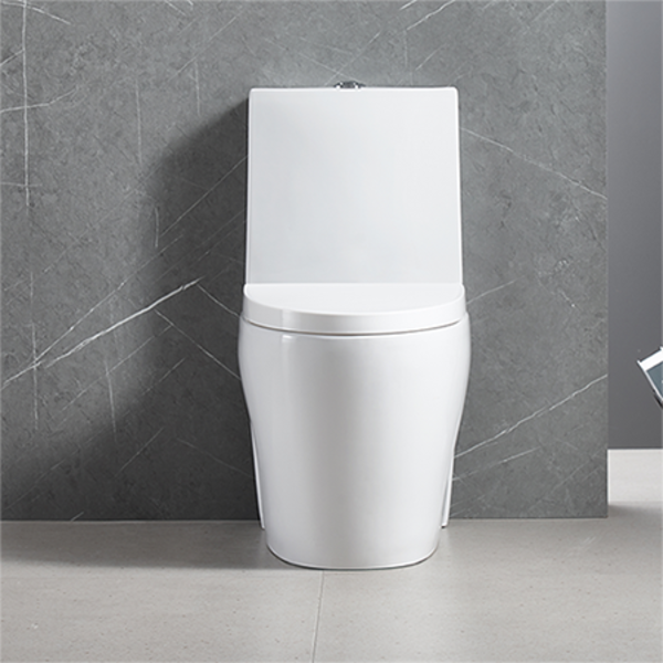 Vaso Sanitário Monobloco Completo Branco Caixa Acoplada - Image 4