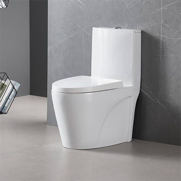 Vaso Sanitário Monobloco Completo Branco Caixa Acoplada - Image 3
