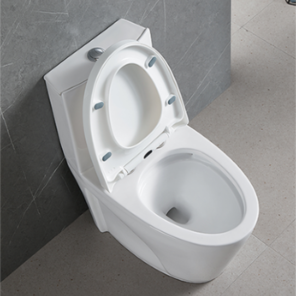 Vaso Sanitário Monobloco Completo Branco Caixa Acoplada - Image 5