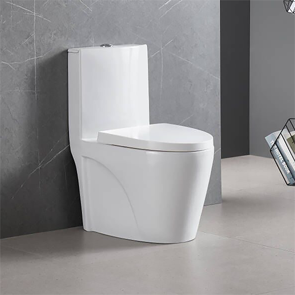 Vaso Sanitário Monobloco Completo Branco Caixa Acoplada - Image 2