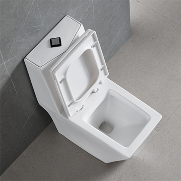 Vaso Sanitário Monobloco Completo Diamante - Caixa Acoplada - Image 5