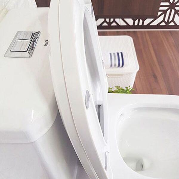 Vaso Sanitário Monobloco Reno R 500 - Image 3