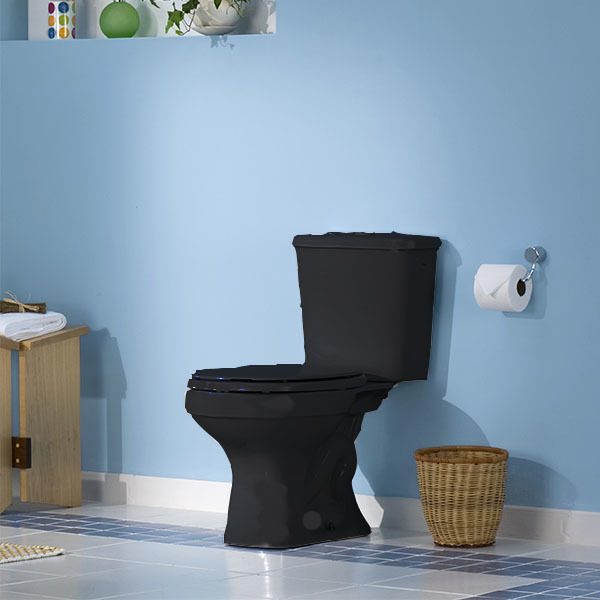 Vaso Sanitário para Caixa Acoplada Preto Saída Vertical Aspen Deca - Image 3